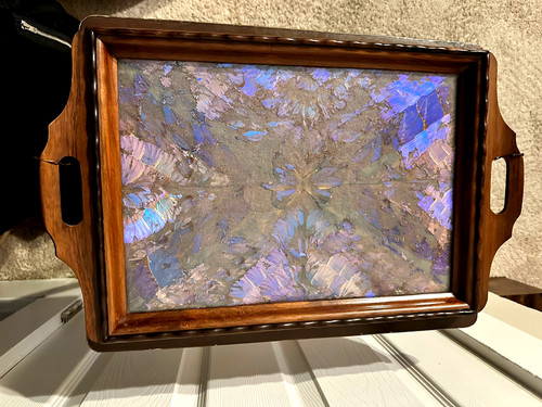 Vintage blue real butterfly - vintage,