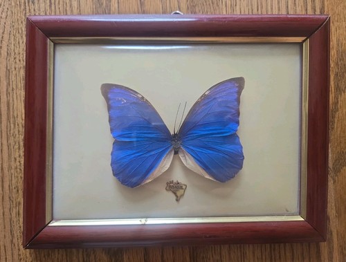 Real vintage framed - real,