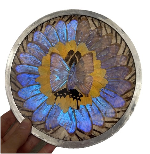 Vintage real blue - vintage, morpho